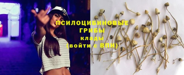 экстази Алексеевка