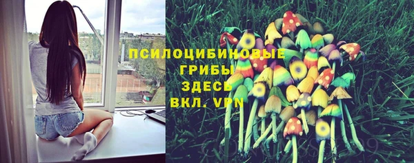 mdpv Алексин