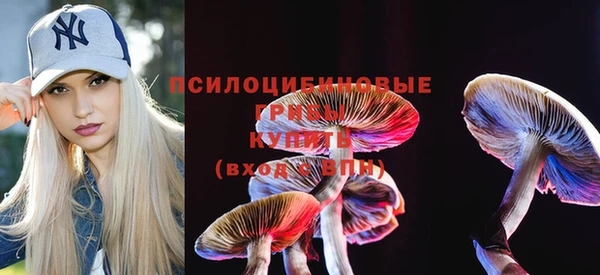 прущая мука Алзамай