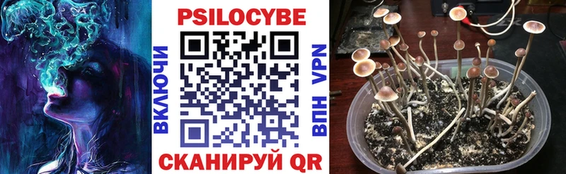 мега ССЫЛКА  купить   Медынь  Галлюциногенные грибы MAGIC MUSHROOMS 